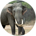 K.Kennedy & O.Kennedy