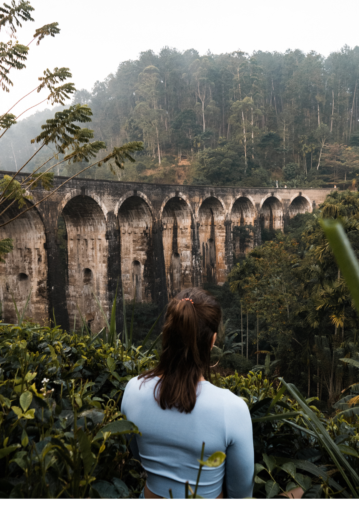 Let the Adventures begin!