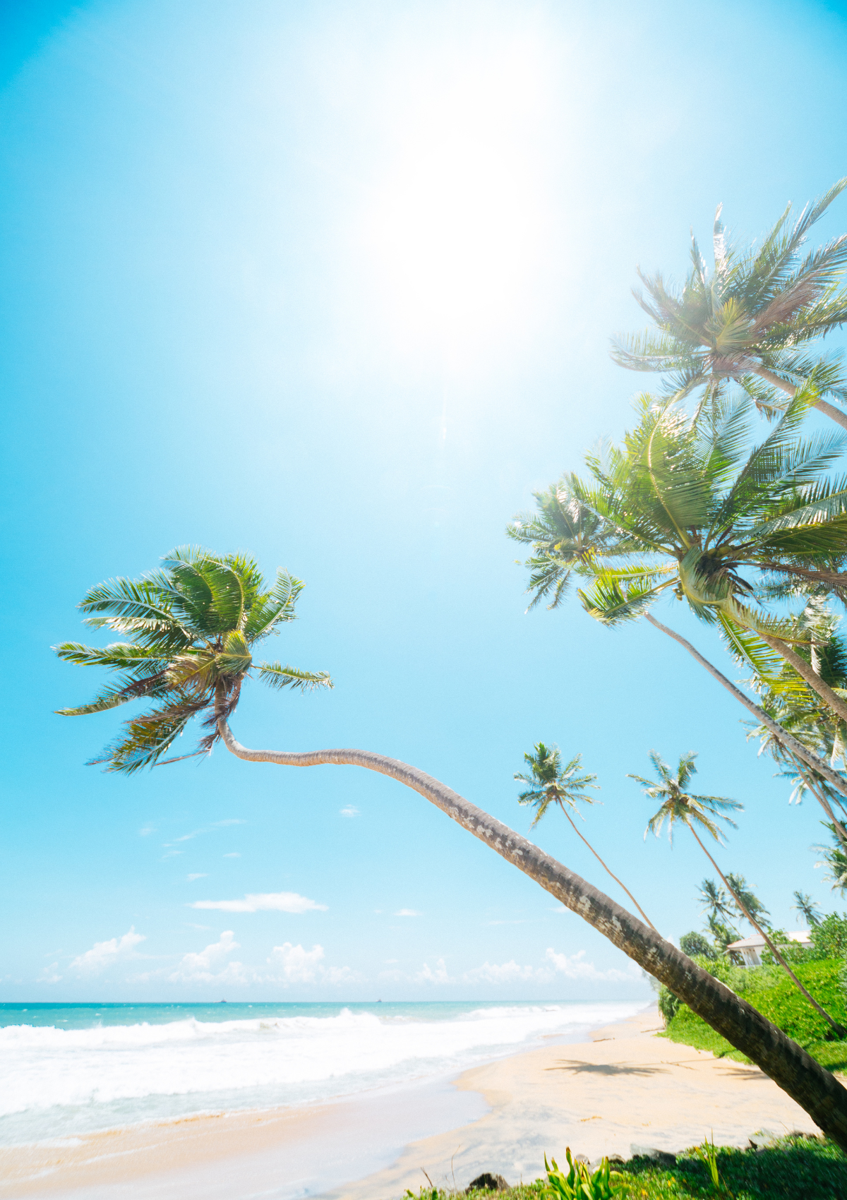 Eternal Summers’ in the East