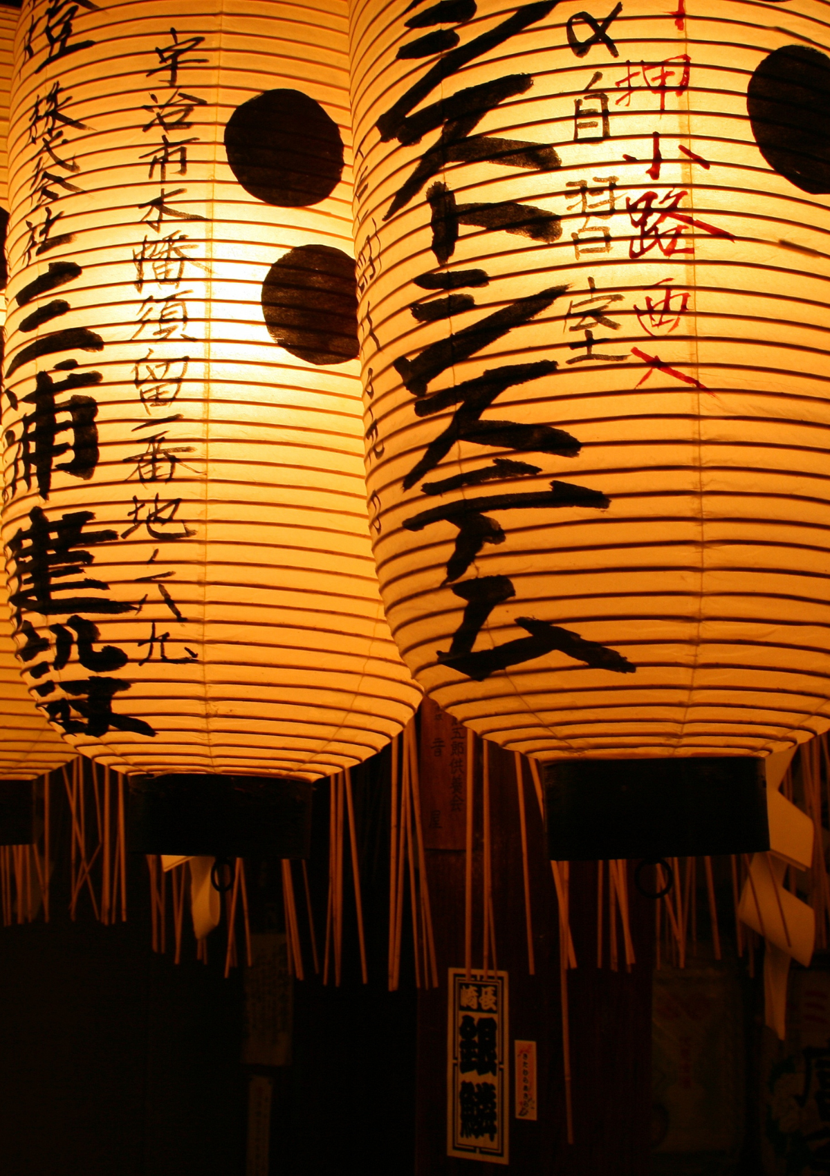 Journey Through Japan